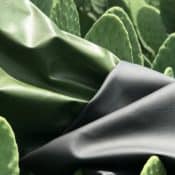 Bio based Leather